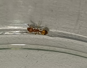 20250324_190559.jpg