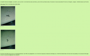 bildnicostreit.PNG