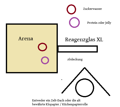 Bild_2025-03-31_091543127.png