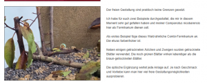 Bild_2025-04-17_202048869.png