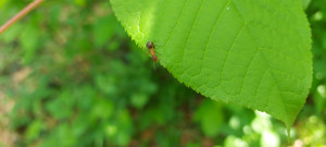 20250420_131235.jpg