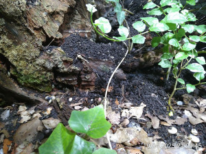 IMG_20250419_212945.jpg