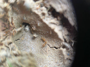 IMG_6896.jpeg