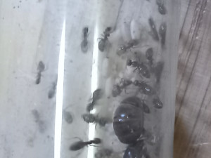 20250430_150440.jpg