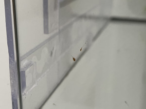 IMG_4451.jpeg