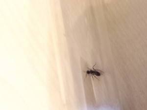 20250610_203633.jpg