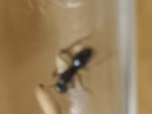 20250612_103701.jpg