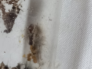 20250612_105401.jpg