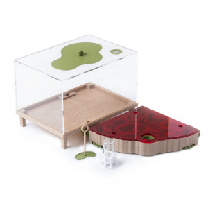 AntKeepers-Starter-Pack-V2-Large-Red-Lid_db2f8c0d-3859-4c13-8780-5ca5db11c1eb.jpg