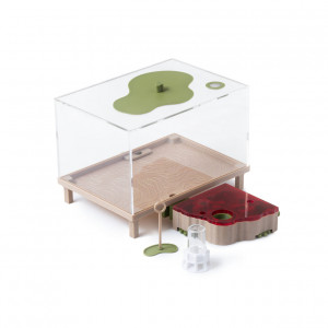 AntKeepers-Starter-Pack-V2-Medium-Red-Lid_ad427475-9f6d-4c71-b807-ced873a01e6a.jpg