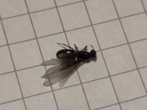 IMG_20250612_205255.jpg