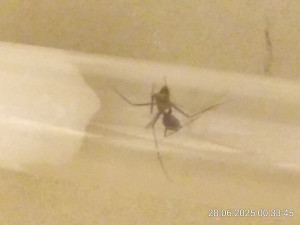 IMG_20250628_003345.jpg