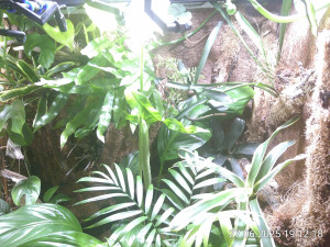 IMG_20250627_191218.jpg