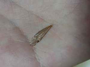 20250705_135720.jpg
