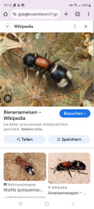 Screenshot_20250706_191201_Chrome.jpg