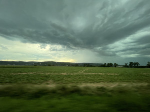 IMG_4684.jpeg