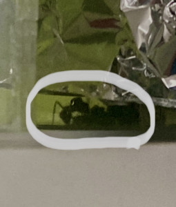 IMG_1225.jpeg
