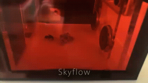 fddf.gif