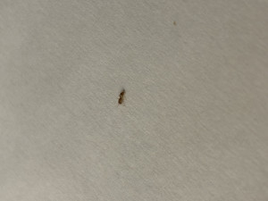 IMG_0567.jpeg