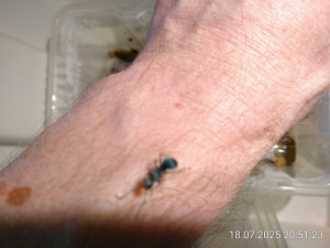 IMG_20250718_205123.jpg