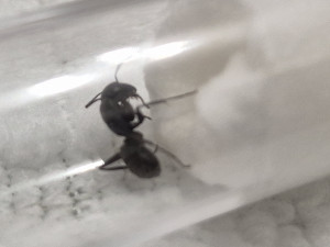 20250729_204032.jpg