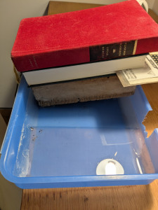 PXL_20250905_122428167.jpg