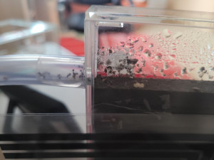 20250922_161424.jpg