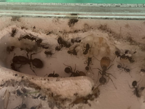 SUpernanny neben Jasmin.JPG