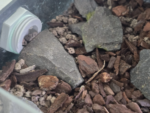 Gestaltung, Pinienrinde und Granulat