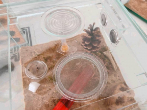 Screenshot 2026-04-10 110513.png