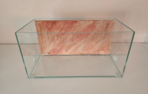 Formikarien-Rückwand