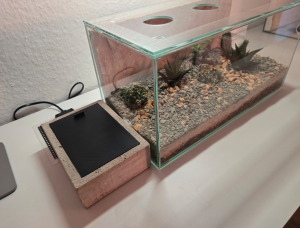 Nest + Formikarium