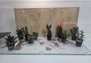 Formikarium-Frontansicht 60x30x30cm