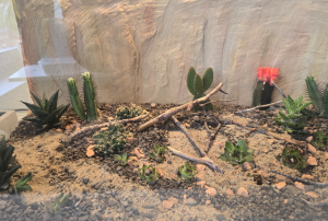 Bepflanzung und Gestaltung