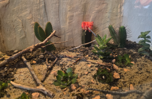 Bepflanzung Perspektive II