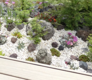 Sukkulenten Beete Beispiele