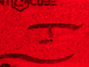 IMG_20260419_105109.jpg