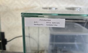 Beschriftung
