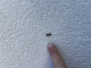 IMG_3146.jpeg