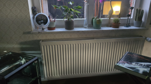 Bild_2026-04-30_205127982.png