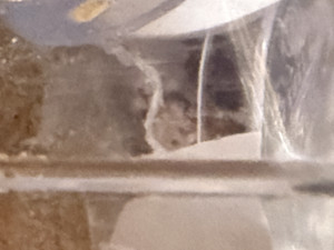 IMG_8479.jpeg