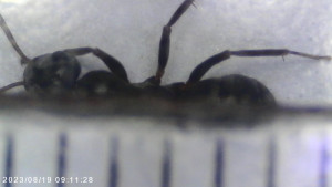 Foto7