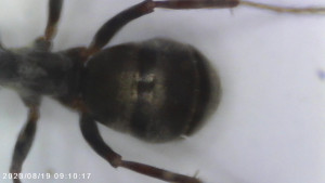 Foto6
