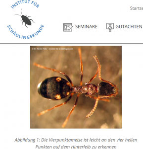 Bild_2026-05-29_094158381.png