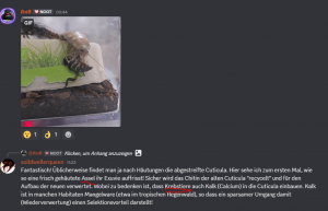 schabe_assel1.png