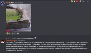 image-2.png