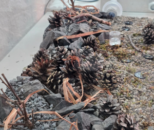 Steinbruch (Basalt) + erste Einrichtung