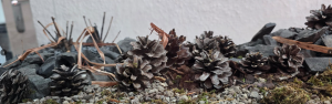 Steinbruch (Basalt) + erste Einrichtung