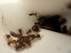 IMG_7618.jpeg