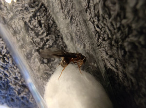 IMG_20260622_214434733.jpg